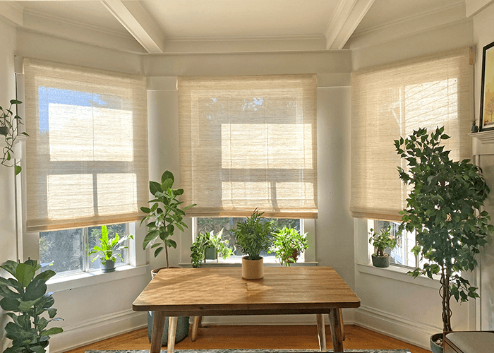 Window Blinds